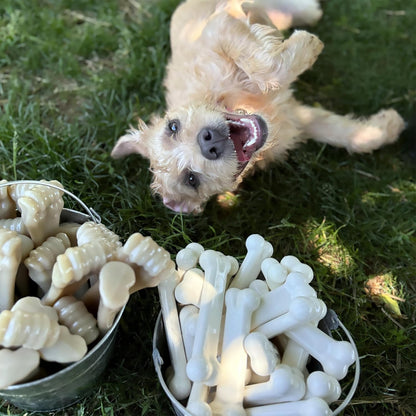 Power Chew Original Bone Dog Chew Toys, Medium, 2 Count | Chicken and Bacon Flavor, Durable Chew Toys, Discourages Destructive Chewing, Long Lasting, for Dogs up to 35 Pounds