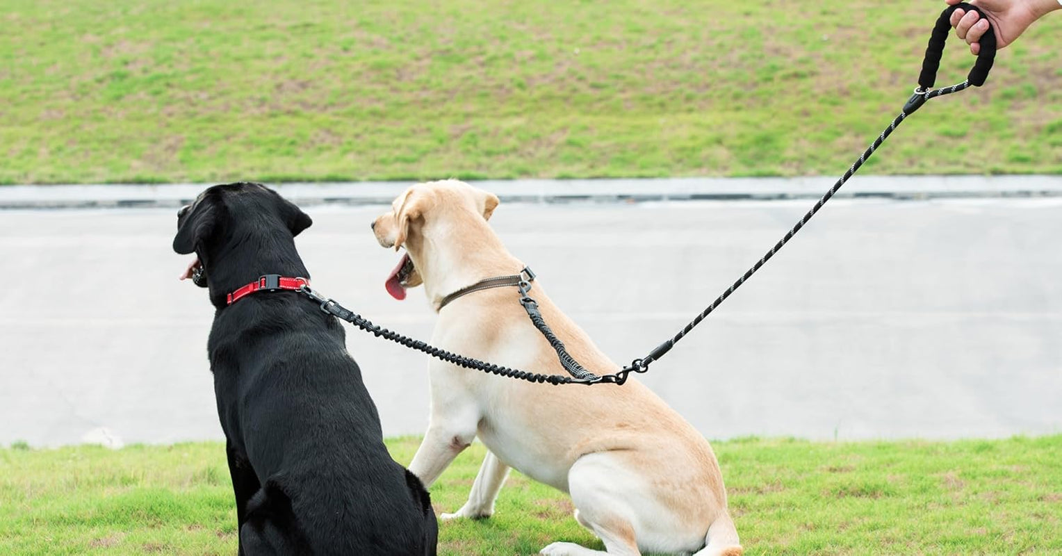 Dual Dog Leash with 360° Swivel and Shock Absorbing Bungee for Two Dogs (Large, 25-150 lbs, Black)