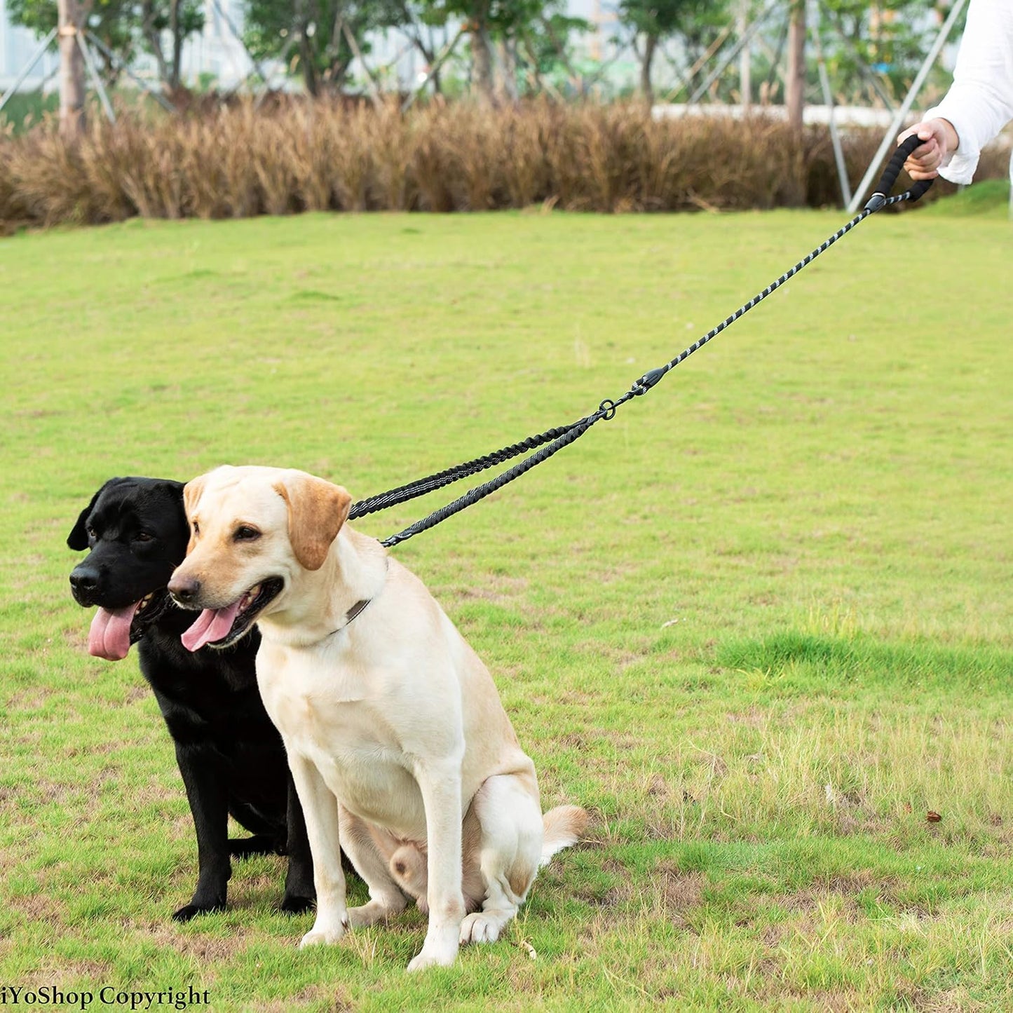 Dual Dog Leash with 360° Swivel and Shock Absorbing Bungee for Two Dogs (Large, 25-150 lbs, Black)