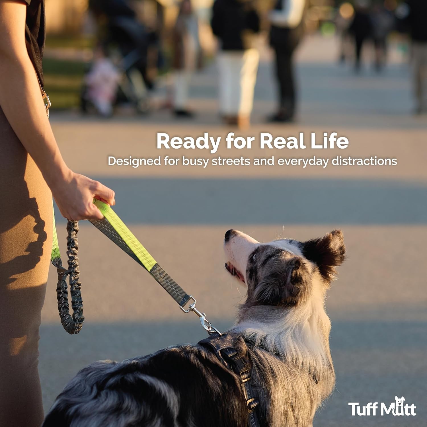 Hands Free Dog Leash for Walking Running Hiking, Waist Leash with Bungee, Adjustable Belt, Reflective Double Handle Design for Large Medium Dogs