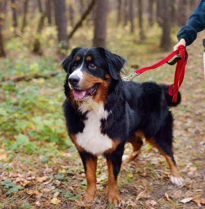 4FT 1IN Heavy Duty Dog Leash for Large Dogs with 2 Padded Handles | Traffic Handle Extra Control, Auto Lock Hook, Strong Reflective Walking Leash for Night Safety, Medium and Large Breeds,Red