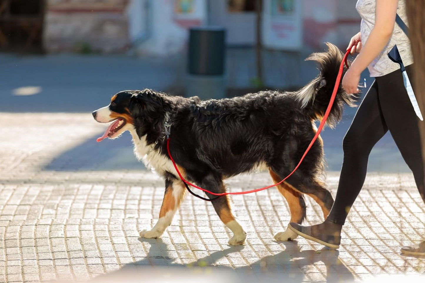 4FT 1IN Heavy Duty Dog Leash for Large Dogs with 2 Padded Handles | Traffic Handle Extra Control, Auto Lock Hook, Strong Reflective Walking Leash for Night Safety, Medium and Large Breeds,Red