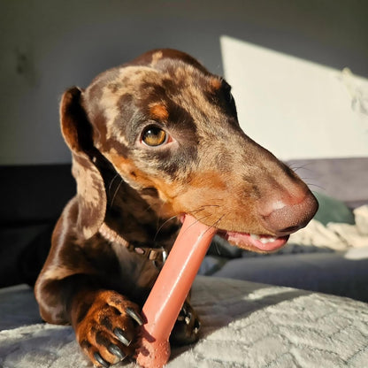 Power Chew Original Bone Dog Chew Toys, Medium, 2 Count | Chicken and Bacon Flavor, Durable Chew Toys, Discourages Destructive Chewing, Long Lasting, for Dogs up to 35 Pounds