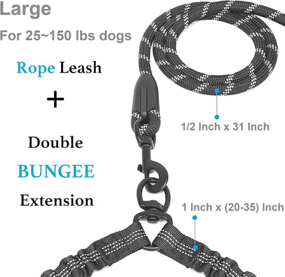 Dual Dog Leash with 360° Swivel and Shock Absorbing Bungee for Two Dogs (Large, 25-150 lbs, Black)